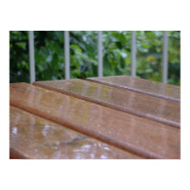 Wet Wood posters