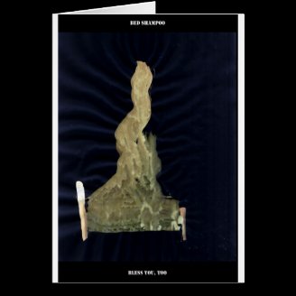 Wetdryvac Thinkbag 0015 Greeting Cards