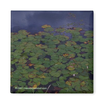 Wetherhead Hollow Magnet by shinaweh