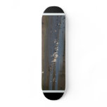 Wetland Birds Skateboard