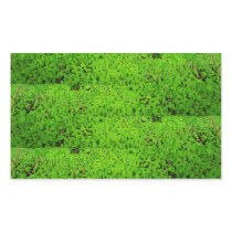 Wetland oasis border sticker