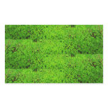 Wetland oasis border sticker