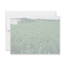 Wetlands, Black Mangrove Swamp invitations by animalpark Wetlands, Black Mangrove Swamp invitations