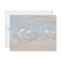 Wetlands, Bombay Hook National Wildlife Refuge invitations