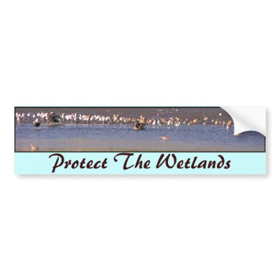 Wetlands Bumper Sticker by farmer77