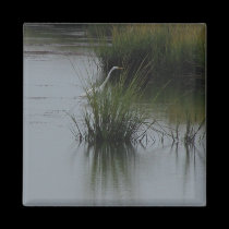Wetlands Egret Magnet magnets