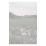 Wetlands, Everglades Stationery Paper
