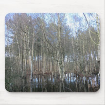 Wetlands in Delamere Forest Mouse Pad