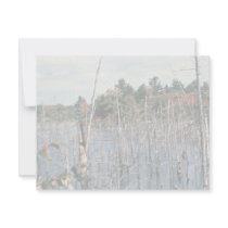 Wetlands invitations by animalpark Wetlands invitations