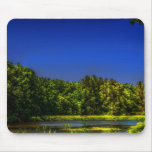 Wetlands Mousepad