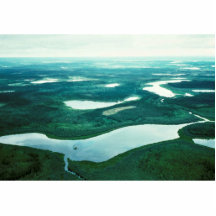 Wetlands Near Birch Creek Acrylic Cut Outs