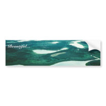 Wetlands Near Birch Creek Bumper Stickers