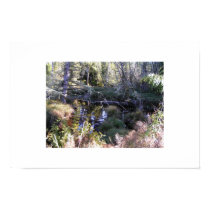 Wetlands Of Washington posters by aurorawind Wetlands Of Washington posters