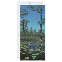 Wetlands, Okefenokee National Wildlife Refuge rack cards by animalpark Wetlands, Okefenokee National Wildlife Refuge rack cards