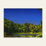 Wetlands Postcard