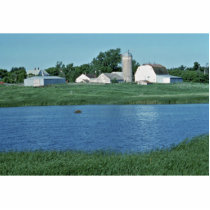 Wetlands, upper midwest photo sculptures by animalpark Wetlands, upper midwest photo sculptures