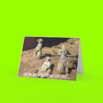 We've been looking for you... cards
