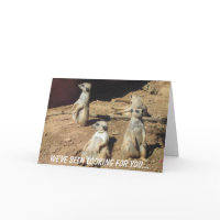 We've been looking for you... card