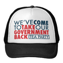 We've Come To Take Our Government Back Mesh Hat