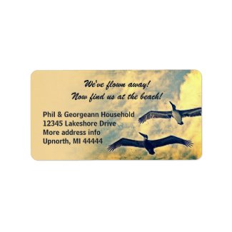 We've flown away! Flying pelicans new address