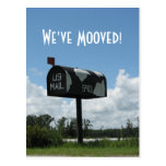We've Mooved Postcard