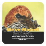We've moved announcement template stickers