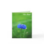 We've Moved! Bachelors Button Card