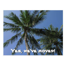 We've moved - Palm Trees on Postcard