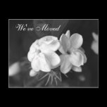 We've Moved Postcard postcards
