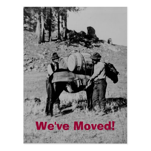 We've Moved! Postcard | Zazzle