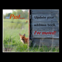 We've Moved Postcard (red fox in barn) postcards