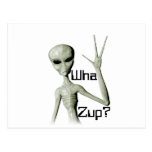 Wha Zup? Postcard