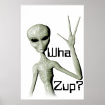 Wha Zup? poster