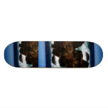 Whack OUT ocean Skateboard