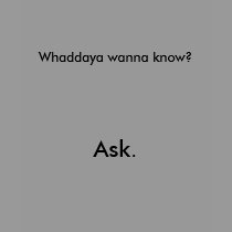 Whaddaya wanna know? Ask. Ladies top t-shirts
