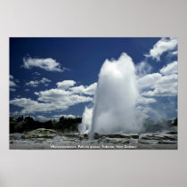 Whakarewarewa, Pohutu geyser, Rotorua, New Zealand Poster