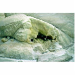 Whakarewarewa Thermal Area Photo Cut Out