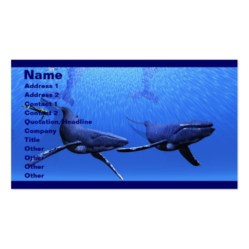 Whale 01 Business Card (front side)