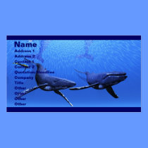Whale 01 Business Card business cards