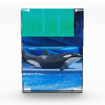 whale-57 award