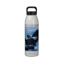 whale-77 reusable water bottles