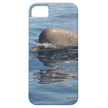 Whale and Reflection iPhone 5 Cases