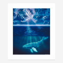 Whale Below