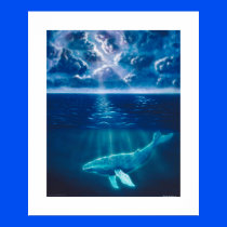 Whale Below