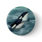 Whale