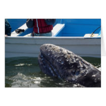 Whale cards by ESilbermann Whale cards