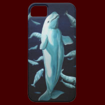 Whale iPhone5 Case Beluga Whale Mobile Cases casemate cases