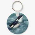 Whale