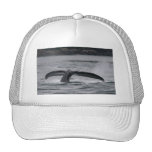 whale mesh hat