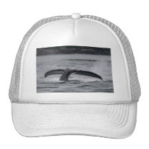 whale mesh hat